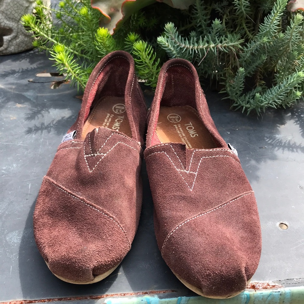 Toms Brown Suede Shoes